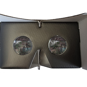VR Goggles